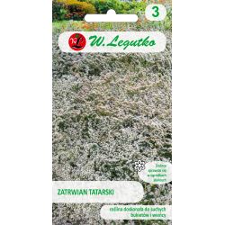 Tatarská rostlina, Statice - bílá - Semena - W. Legutko