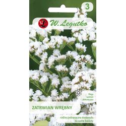 Kořen – bílý - Semena - W. Legutko