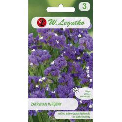 Kořen – fialový - Semena - W. Legutko