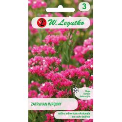 Zatrwian - obyčejný - karmínově růžový - Semena - W. Legutko