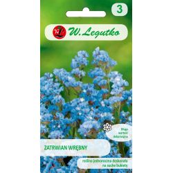 Ascidian obecný - modrá - Semena - W. Legutko Ascidian obecný - modrá - Semena - W. Legutko