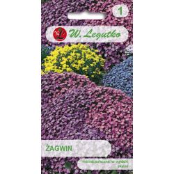 Brusinka zahradní - směs - Semena - W. Legutko