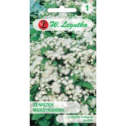 Mexický ženšen – bílý - Semena - W. Legutko