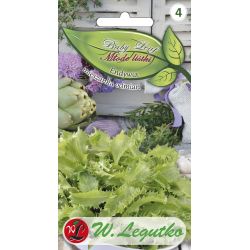 Endive - směs odrůd - Semena - W. Legutko
