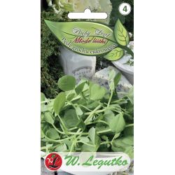 Výhonky sladkého hrášku - Semena - W. Legutko