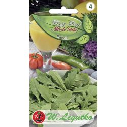 Rukola - Semena - W. Legutko