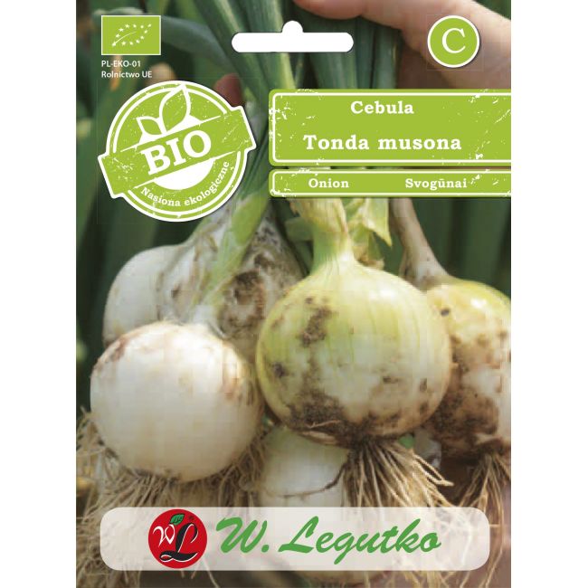 Zimní cibule - Tonda musona - Semena - W. Legutko Zimní cibule - Tonda musona - Semena - W. Legutko