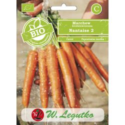 Jedlá mrkev - Nantaise 2 - Semena - W. Legutko