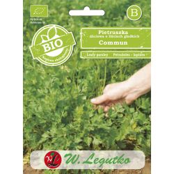 Listová petržel - Commun 2 - Semena - W. Legutko Listová petržel - Commun 2 - Semena - W. Legutko