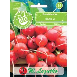 Ředkev - Saxa 2 - Semena - W. Legutko