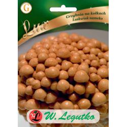 Mycelium na čepech - nameko scale - Semena - W. Legutko Mycelium na čepech - nameko scale - Semena - W. Legutko