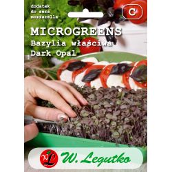 Bazalka - pravá - tmavý opál - Semena - W. Legutko