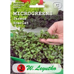 Kale - Scarlet - červená - Semena - W. Legutko