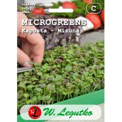 Zelí - Mizuna - Semena - W. Legutko