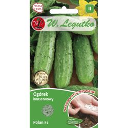 Okurka polní - Polan F1 - 50 ks semínek - Semena - W. Legutko Okurka polní - Polan F1 - 50 ks semínek - Semena - W. Legutko