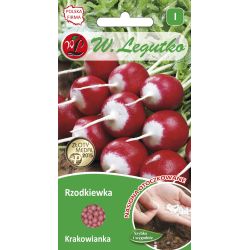 Ředkev - Krakowianka - 300 semen - Semena - W. Legutko