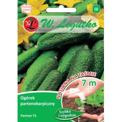 Partenokarpická okurka - Partner F1 - páska 7m - Semena - W. Legutko Partenokarpická okurka - Partner F1 - páska 7m - Semena - W. Legutko