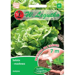 Salát hlávkový - Justyna - páska 7m - Semena - W. Legutko