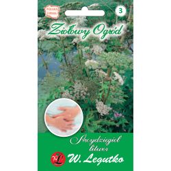 Angelica - litevština - Semena - W. Legutko