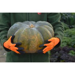 Zahradnické rukavice - Comfort - Zahradní doplňky - W. Legutko Zahradnické rukavice - Comfort - Zahradní doplňky - W. Legutko