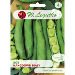 Fazole - Hangdown - Bílá - Semena - W. Legutko