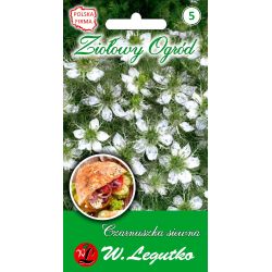 Černý kmín - Semena - W. Legutko