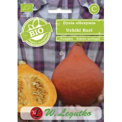Obří dýně - Uchiki Kuri - Semena - W. Legutko Obří dýně - Uchiki Kuri - Semena - W. Legutko