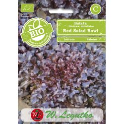 Listový salát - červená salátová mísa - Semena - W. Legutko Listový salát - červená salátová mísa - Semena - W. Legutko