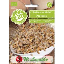 Semena na klíčky - pšenice obecná - Semena - W. Legutko Semena na klíčky - pšenice obecná - Semena - W. Legutko