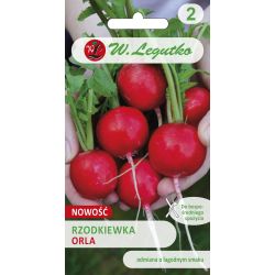 Ředkev kulatá - Orla - Semena - W. Legutko