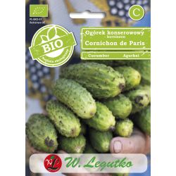 Okurka polní okurka - Cornichon de Paris - Semena - W. Legutko