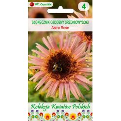 Polské květiny - Okrasná slunečnice - Astra Rose - Semena - W. Legutko