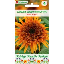 Polské květiny - Okrasná slunečnice - Astra Brown - Semena - W. Legutko