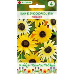 Polish Flowers - Slunečnice s okurkovým listem - Semena - W. Legutko