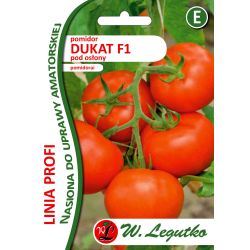 Rajče pod krytem - Dukat F1 - Semena - W. Legutko