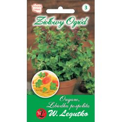 Oregano, majoránka obecná - Semena - W. Legutko