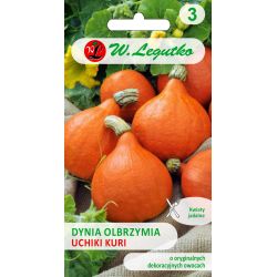 Dýně - obří - Uchiki Kuri - Semena - W. Legutko