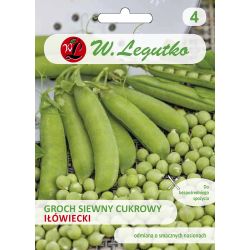 Sladký hrášek - Iłówiecki - Semena - W. Legutko