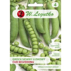 Hrášek – Kelvedonský zázrak - Semena - W. Legutko