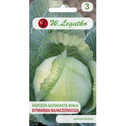 Bílé hlávkové zelí - Ditmarska Nejranější - Semena - W. Legutko