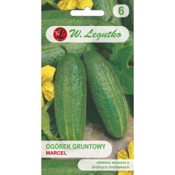Okurka - pole - Marcel F1 - Semena - W. Legutko