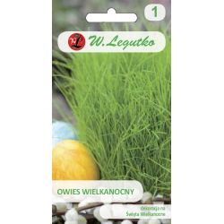 velikonoční oves - Semena - W. Legutko