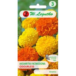Tagetes erect - směs bez zápachu - Semena - W. Legutko
