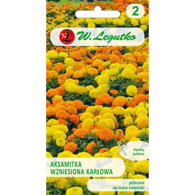 Tagetes erect - trpasličí mix - Semena - W. Legutko Tagetes erect - trpasličí mix - Semena - W. Legutko