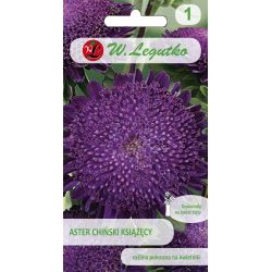Čínská princezna astra - fialová - Semena - W. Legutko