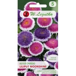 Čínská astra Liliput - Měsíční svit - Semena - W. Legutko