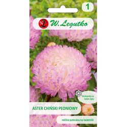 Čínská pivoňka astra - bílá a růžová - Semena - W. Legutko
