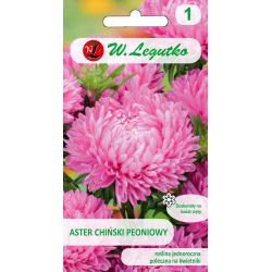 Čínská pivoňka astra - růžová - Semena - W. Legutko