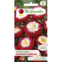 Čínská pomponová hvězdice - Gusford Supreme - Semena - W. Legutko