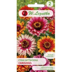 Jiřinka cínie - kolotoč - Semena - W. Legutko